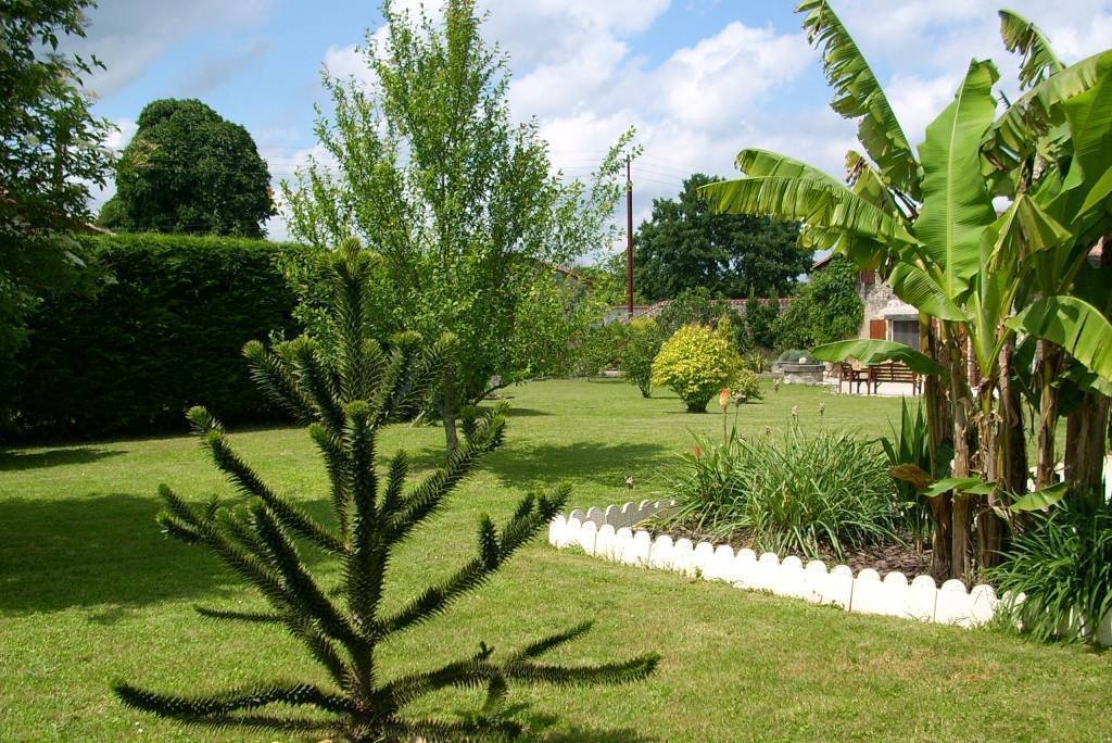 Place image here